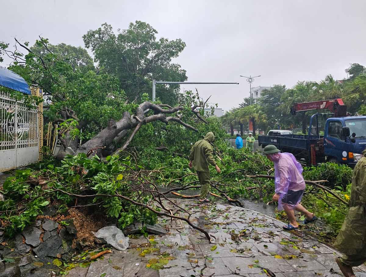 Cây xanh gãy đổ tại phường Hồng Hà, TP Hạ Long, tỉnh Quảng Ninh. Ảnh: Đoàn Hưng