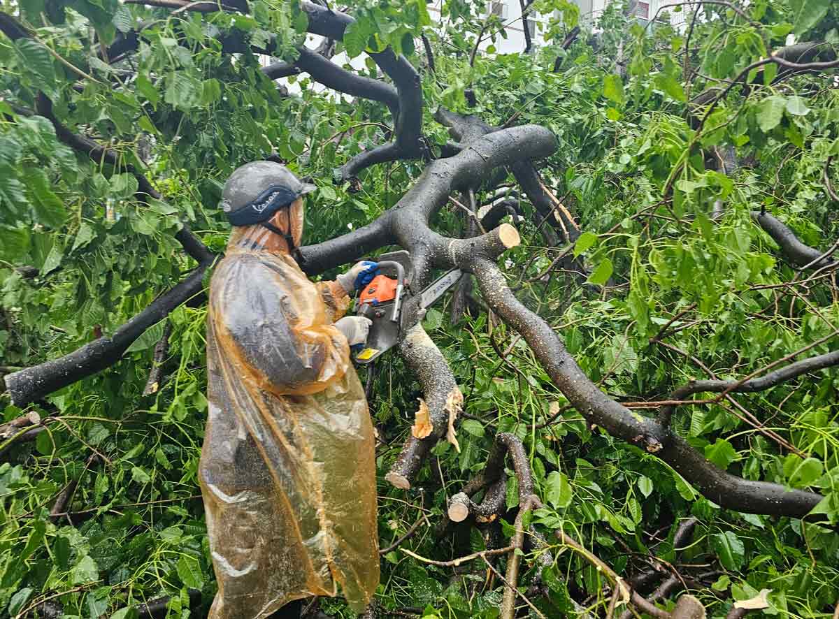 Tâm bão qua Quảng Ninh, nhiều cây bật gốc, không có thiệt hại về người