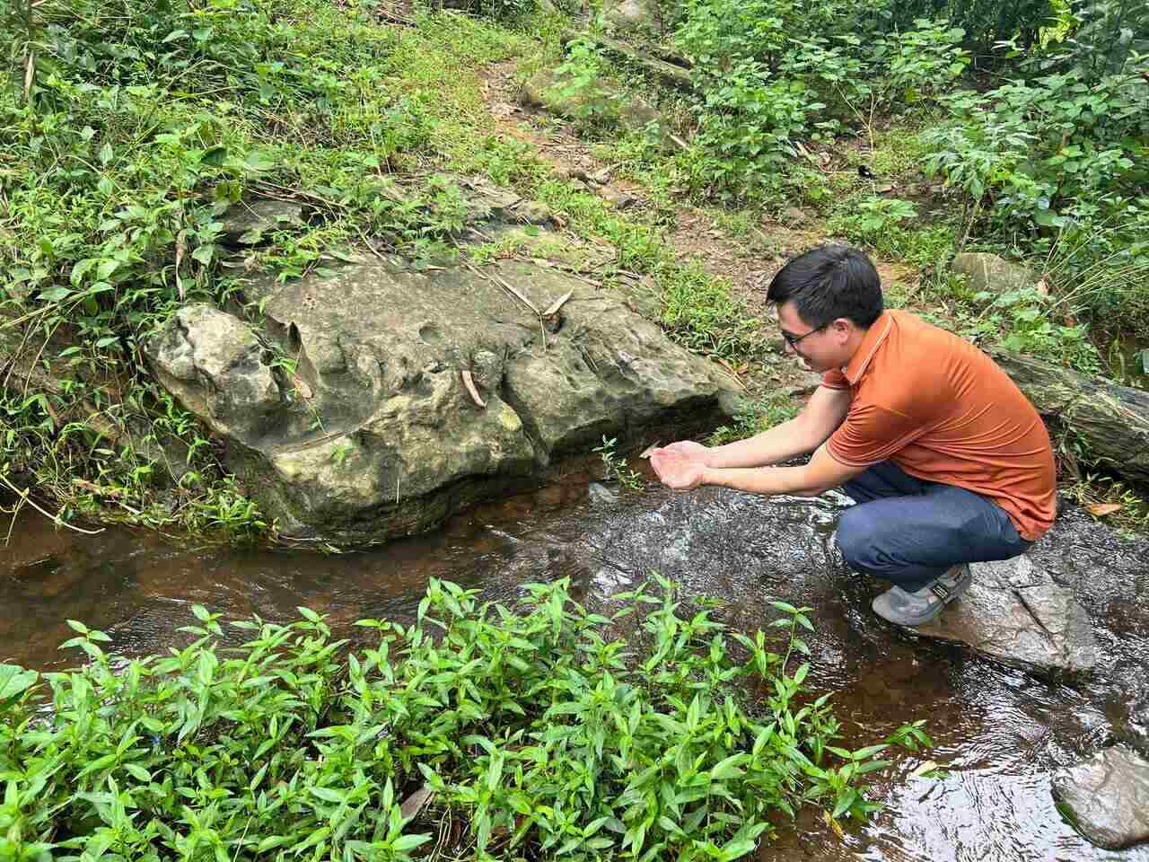 Đến nay, nguồn nước cơ bản đã trở lại bình thường.