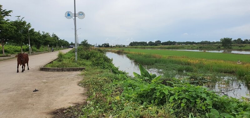 Hiện trạng khu đất được giao làm dự án Bệnh viện Đa khoa Bạc Liêu - Sài Gòn. Ảnh: Nhật Hồ