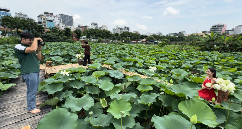 Lễ hội Sen Hà Nội: Nâng tầm sen Việt, tạo đà cho công nghiệp văn hóa phát triển