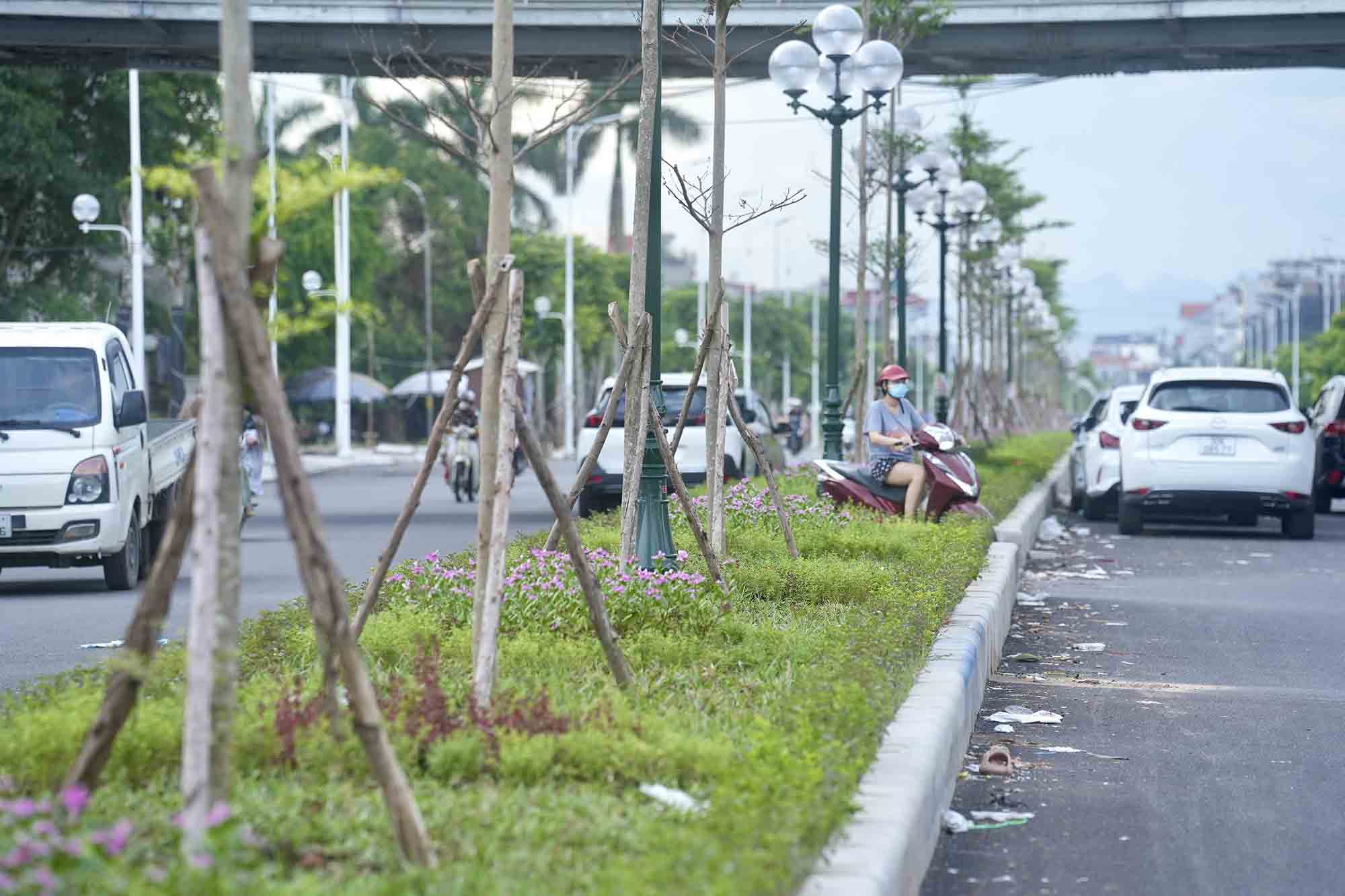 Các hạng mục như vỉa hè, hệ thống chiếu sáng, cây xanh... trên tuyến đã hoàn thiện.